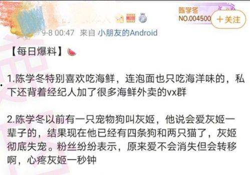 今日爆料粉丝多好处,多角度解析粉丝带来的多重利好 第1张 今日爆料粉丝多好处,多角度解析粉丝带来的多重利好 第1张