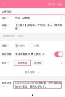 爆料视频从哪里投稿好呢,一网打尽热门渠道 第2张 爆料视频从哪里投稿好呢,一网打尽热门渠道 第2张
