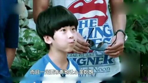 八卦娱乐爆料恶搞图片,恶搞图片背后的八卦娱乐风云 第1张 八卦娱乐爆料恶搞图片,恶搞图片背后的八卦娱乐风云 第1张