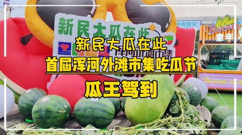 吃瓜王第三季全集免费,揭秘娱乐圈风云，免费观看全集大揭秘  第2张